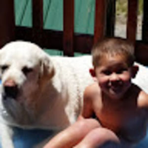 Meet your Posher, Roy